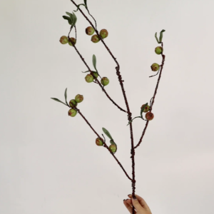 Rosehip Stem - 48”